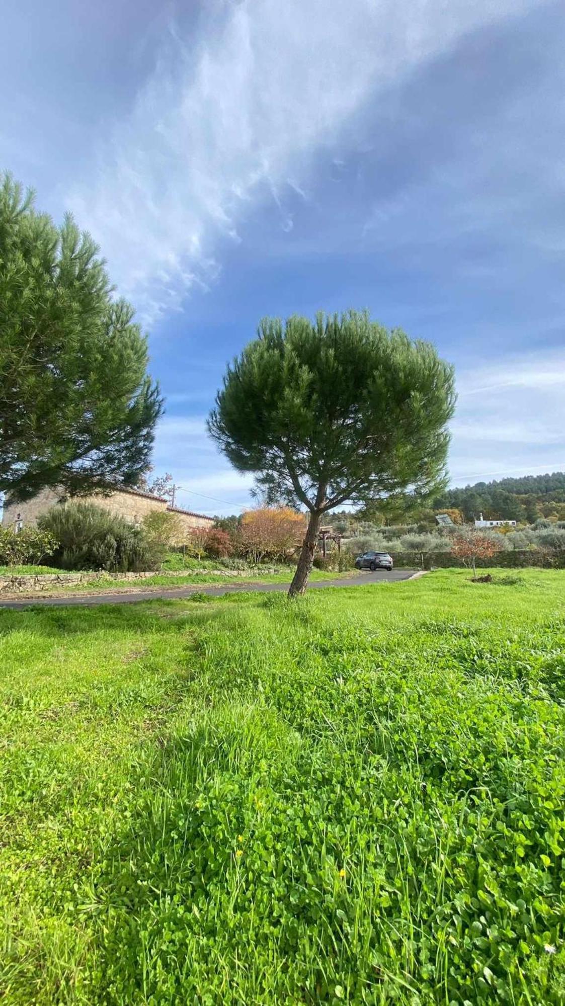 Casas Do Minerio Villa กัวร์ดา ภายนอก รูปภาพ